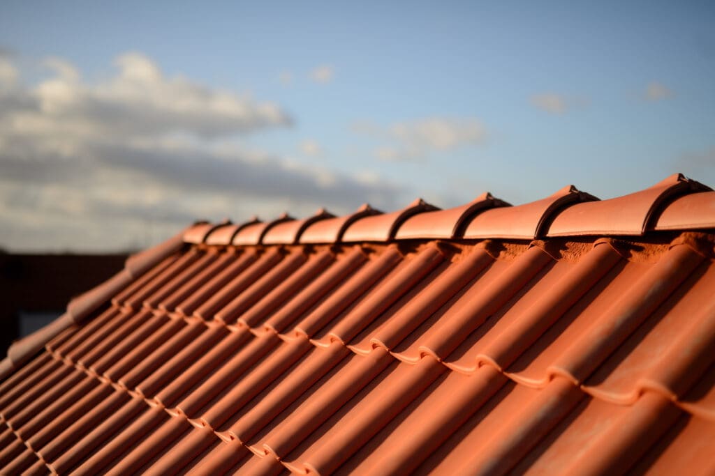 Roof Maintenance
